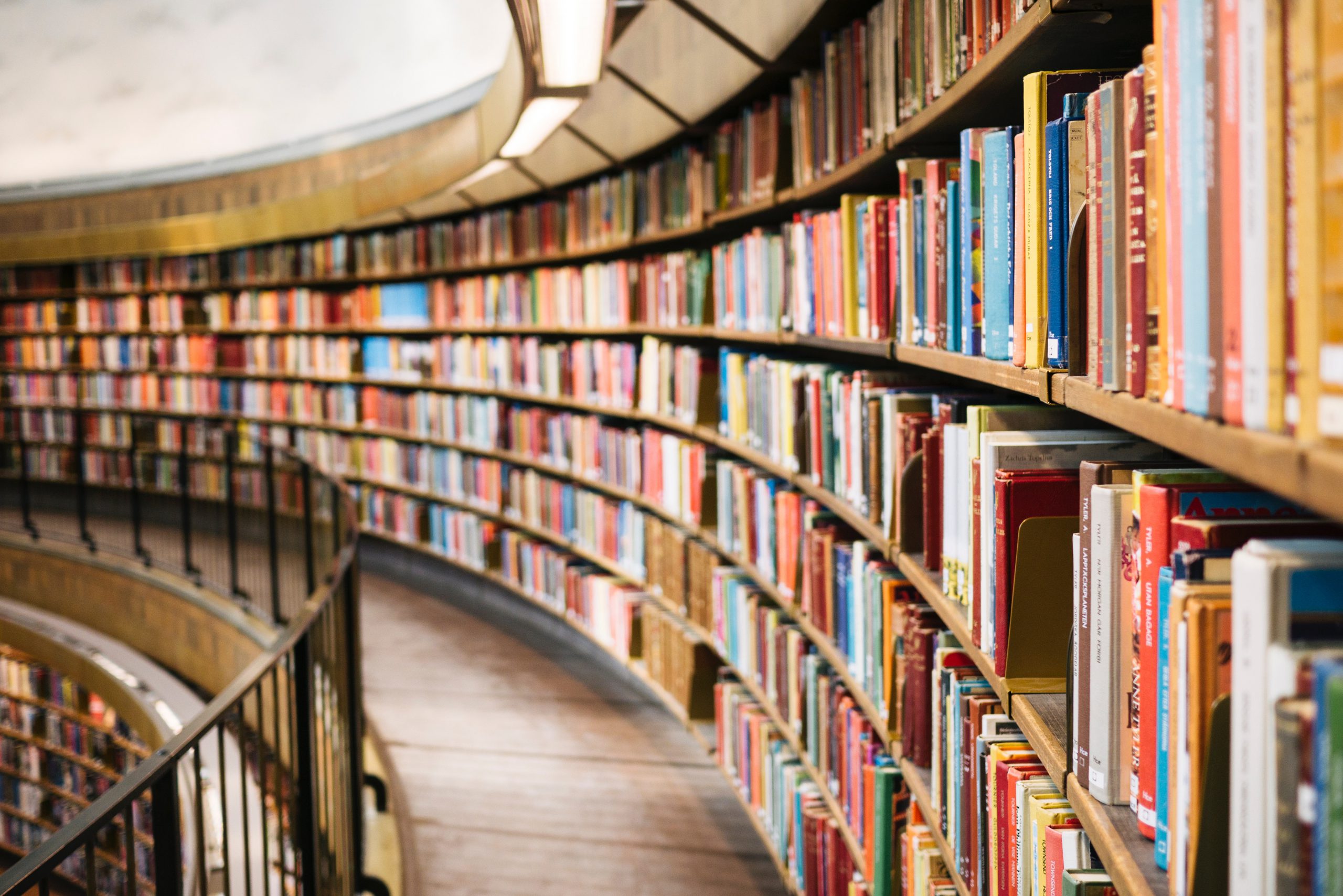 Neues aus der Bewegungsforschung: Publikationen von ipb-Mitgliedern (IV.2019)