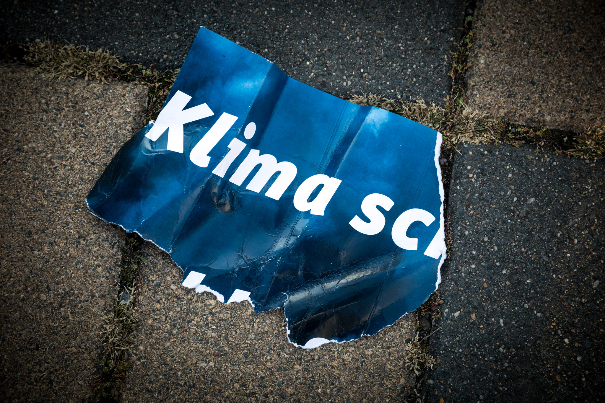 Die Klimabewegung in Deutschland im Wandel